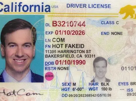 California Fake ID