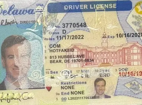 Delaware Fake ID - Delaware Driver License