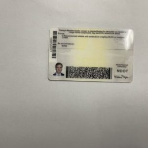 Maryland Fake ID