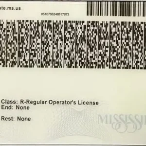 Mississippi Fake ID