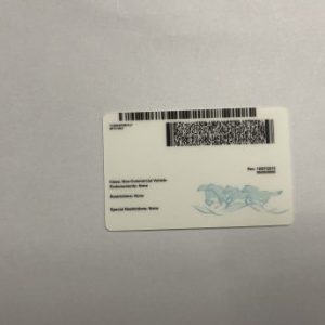 Montana Fake ID