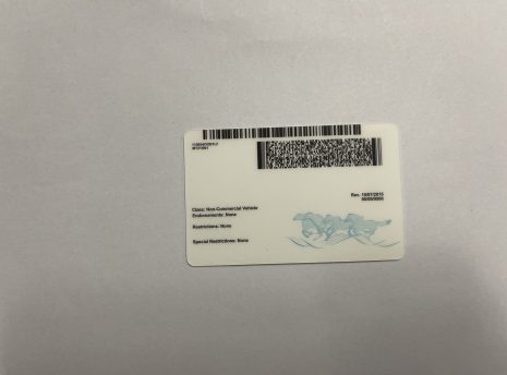 Montana-fake-id-back-scaled-465x344