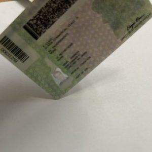 New Hampshire Fake ID