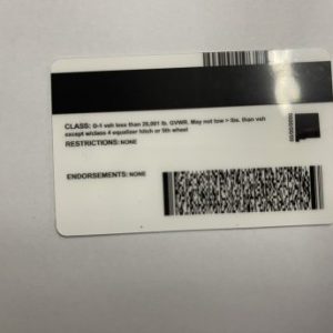 New Mexico Fake ID