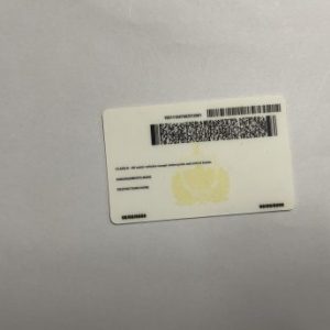 Vermont Fake ID