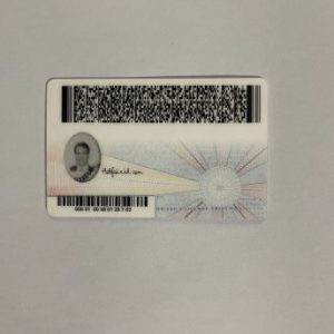 Virginia Fake ID